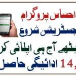 Ehsaas Program Registration 8171 NADRA
