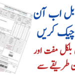 How to Check Electricity Bill Online FESCO