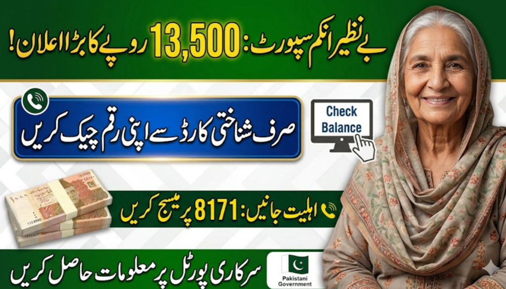 Check Your Benazir Income Support Account