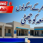 Punjab School Holidays