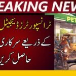 Transporters to Receive Govt Subsidies Through Digital Wallets